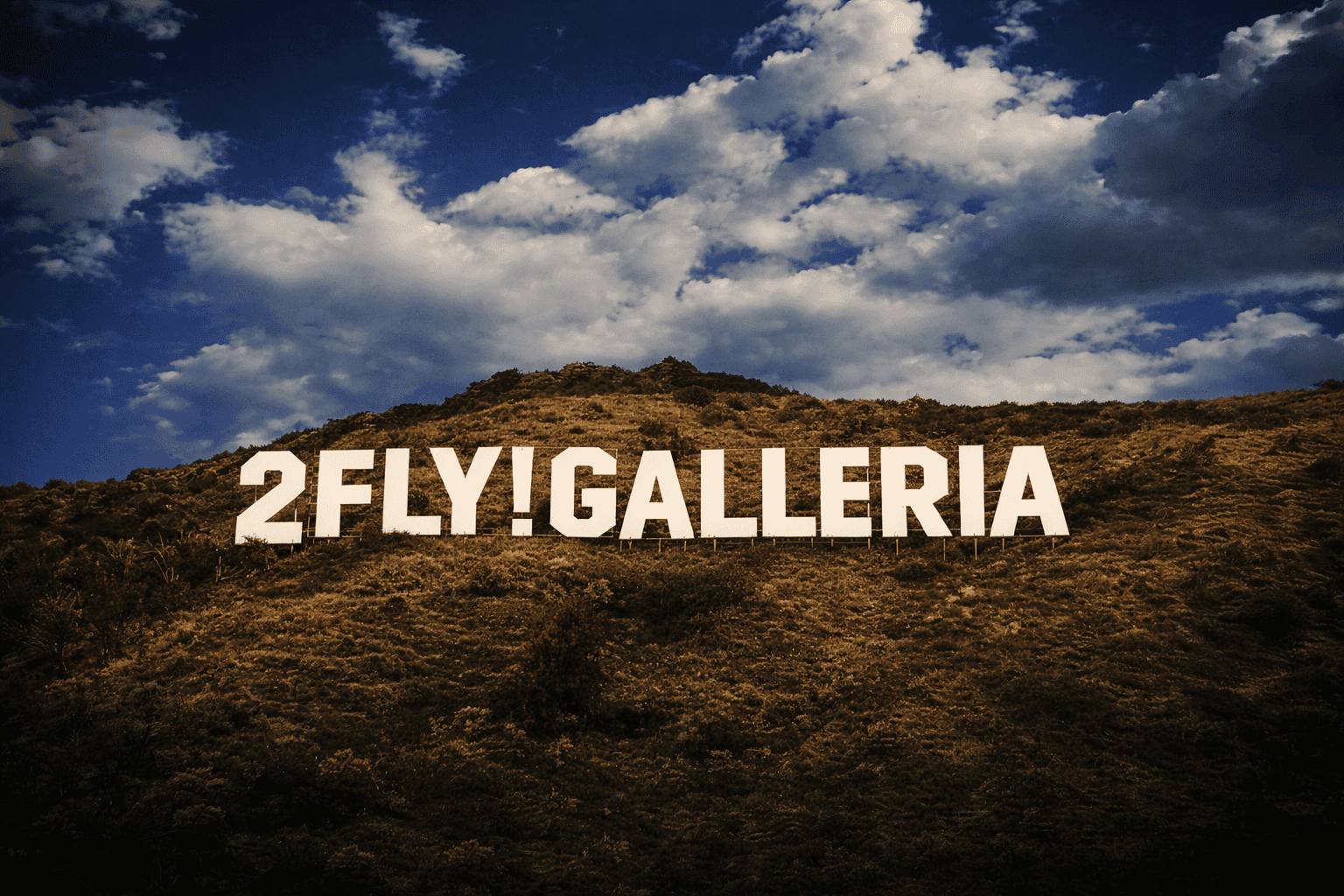 2FLY Background